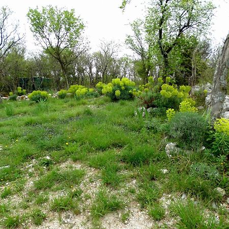 Apartments Dumic Crikvenica Eksteriør bilde